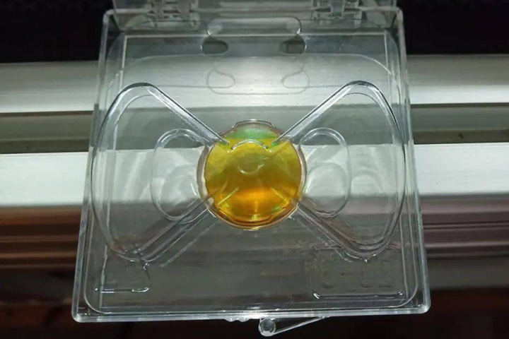 對焦鏡頭 對焦鏡頭